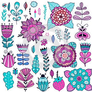 Set of vector flowers graphic collection
