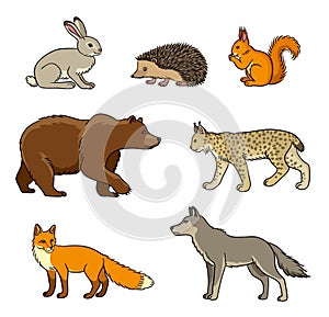 Set of vector forest animals