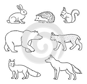 Set of vector forest animals in contours