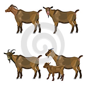 Set of vector goats