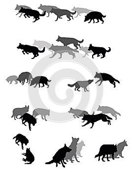 Set of vector group of dogs