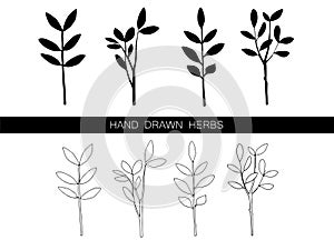 Set of vector hand drawn herbs isolated on white. Contour and silhouette. Black and white. Decorations for cards