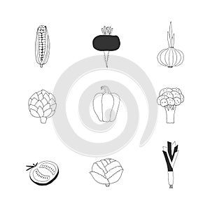 Set of vector hand drawn icons. Healthy nutrition. Vegetables.