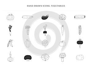 Set of vector hand drawn icons, vegetables. Healthy nutrition. Isolated objects.