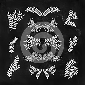 Set of vector hand drawn laurels, wreath, branches