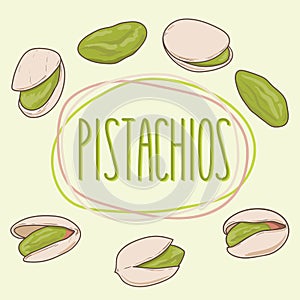 Set of vector hand drawn pistachio nuts, shelled and whole.