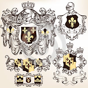 Set of vector heraldic design elements with coat of arms in vin