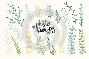 Set of vector herbs. Phytotherapy background.