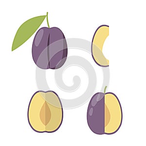 Set of vector icon plum in flat style