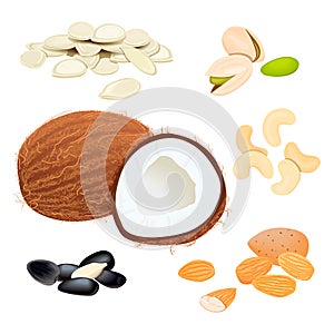 Set vector icons nuts and seeds. pumpkin seed, sunflower seeds. Pistachio, cashew, coconut, almond. Vector Illustration