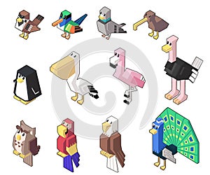 Set vector illustration of cute isometric bird and poultry in minimal style.