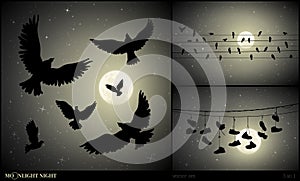 Set of vector illustration with silhouettes of flying birds and shoes on moonlit night