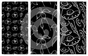 Set of vector illustrations of flowers. Seamless black and white backgrounds with hand drawn lily, dandelions with leaves Hand dra