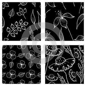 Set of vector illustrations of flowers. Seamless black and white backgrounds with hand drawn lily, dandelions with leaves Hand dra