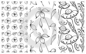 Set of vector illustrations of flowers. Seamless black and white backgrounds with hand drawn lily, dandelions with leaves Hand dra