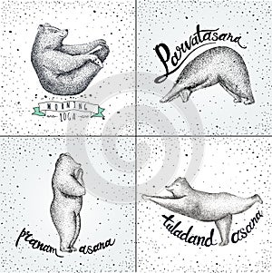 Set of Vector illustrations. fun a bears isolated on vintage