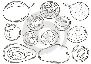 Set of vector illustrations in hand drawn style. Coloring poster with fruits
