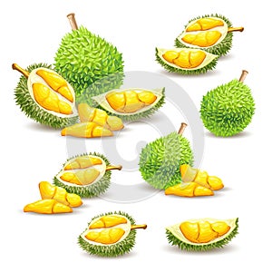 Set of vector illustrations, icons of a durian fruit