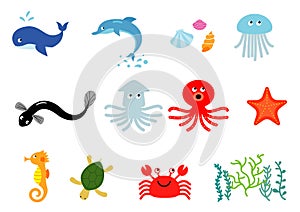 Set of vector illustrations of sea creatures