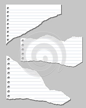 Set of Vector Illustrations of torn pages of notebook lined paper