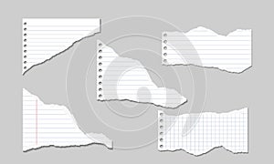 Set of Vector Illustrations of torn pages of notebook paper line