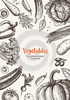 Set of vector illustrations of vegetables. For poster, label and menu.