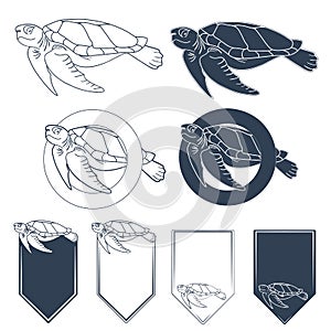 Set of vector images with sea turtle. EPS10