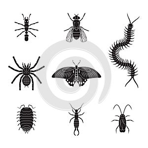 Set of vector insects volume 2