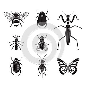 Set of vector insects volume 4