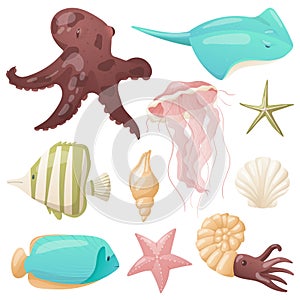 Set of vector isolated elements on a white background. Collection of marine life and colorful fish and shells. Design
