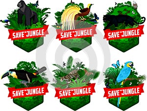 Set of vector jungle rainforest emblems with black panther, Griffon vulture,  channel-billed toucan, Bird of Paradise, parrot