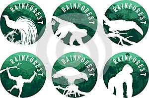 Set of vector jungle rainforest emblems with orangutan, gorilla, lesser bird of paradise, philippine Eagle, channel-billed toucan
