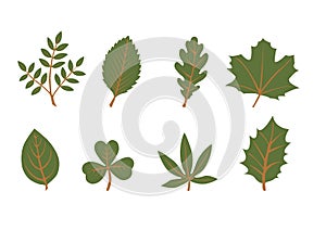 Set of vector leaf shapes