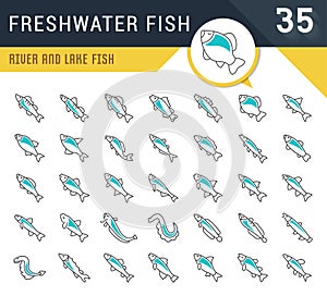 Set Vector Line Icons of Freshwater Fish