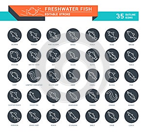 Set Vector Line Icons of Freshwater Fish.
