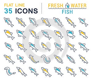 Set Vector Line Icons of Freshwater Fish