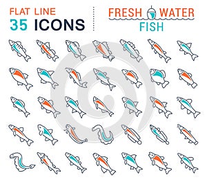 Set Vector Line Icons of Freshwater Fish