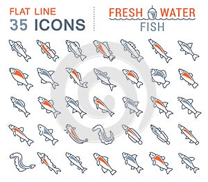 Set Vector Line Icons of Freshwater Fish