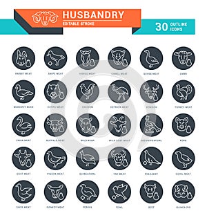 Set Vector Line Icons of Husbandry.