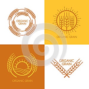 Set of vector linear wheat, fields logo design template.