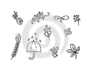 Set of vector monoline doodle floral elements. Autumn collection graphic design bundle. Herbs, leaves, umbrella. Hand drawn