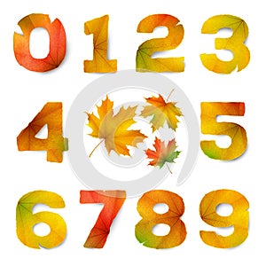 Set of vector numbers made from autumn leaves