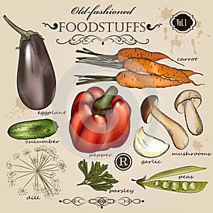 Set of vector old-fashioned vegetables and foodstuffs for design photo