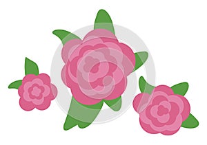 Set of vector pink flowers illustration, isolated on white background. Spring blossom element