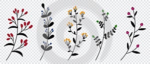 Set of vector plants and herbs. Hand drawn floral elements. Silhouettes of natural elements for seasonal backgrounds. Doodle style