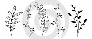 Set of vector plants and herbs. Hand drawn floral elements. Silhouettes of natural elements for seasonal backgrounds. Vector