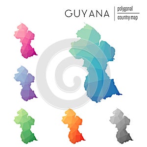 Set of vector polygonal Guyana maps.