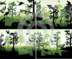 Set of vector rainforest wetland in sunset design template with animals