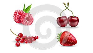 Set of vector realistic berries isolated on white background. Strawberry, raspberry, cherry, and redcurrant. Forest berry. Sweet