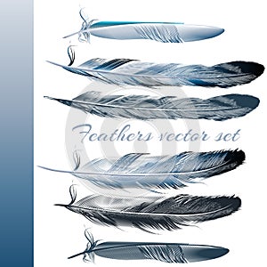 Set of vector realistic colorful feathers